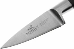 Lion Sabatier Idéal Cuchillo Puntilla 15 Cm, 710980 -KNIVESANDTOOLS Ventas SA710980 03 lion sabatier ideal inox sa710980 03