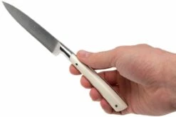 Lion Sabatier Edonist Perle Cuchillo Puntilla 10 Cm, Blanco, 806381 15 Lion Sabatier Edonist Perle Cuchillo Puntilla 10 Cm, Blanco, 806381 -KNIVESANDTOOLS Ventas SA806381 07 lion sabatier edonist perie sa806381 07
