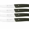 Lion Sabatier International Occitan 901080, Juego De Cuchillos Para Carne De 4 Piezas -KNIVESANDTOOLS Ventas SA901080 01 lionsabatier