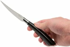 Saladini 6-delige Juego De Cuchillos Para Carne 23 Cm, Cuerno De Búfalo -KNIVESANDTOOLS Ventas SL4001PB6 07 saladini sl4001pb6 07