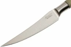 Saladini 6-delige Juego De Cuchillos Para Carne 23 Cm, Cuerno De Buey -KNIVESANDTOOLS Ventas SL4001PC6 04 saladini sl4001pc6 04