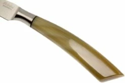 Saladini 6-delige Juego De Cuchillos Para Carne 23 Cm, Cuerno De Buey -KNIVESANDTOOLS Ventas SL4001PC6 05 saladini sl4001pc6 05