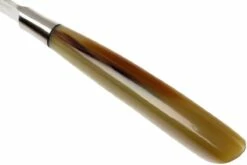 Saladini 6-delige Juego De Cuchillos Para Carne 23 Cm, Cuerno De Buey -KNIVESANDTOOLS Ventas SL4001PC6 06 saladini sl4001pc6 06