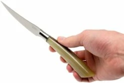 Saladini 6-delige Juego De Cuchillos Para Carne 23 Cm, Cuerno De Buey -KNIVESANDTOOLS Ventas SL4001PC6 07 saladini sl4001pc6 07