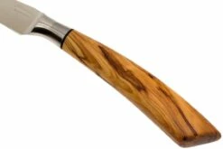 Saladini 6-delige Juego De Cuchillos Para Carne 23 Cm, Set Regalo -KNIVESANDTOOLS Ventas SL4001VL6 06 saladini sl4001vl6 06