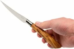 Saladini 6-delige Juego De Cuchillos Para Carne 23 Cm, Set Regalo -KNIVESANDTOOLS Ventas SL4001VL6 08 saladini sl4001vl6 08