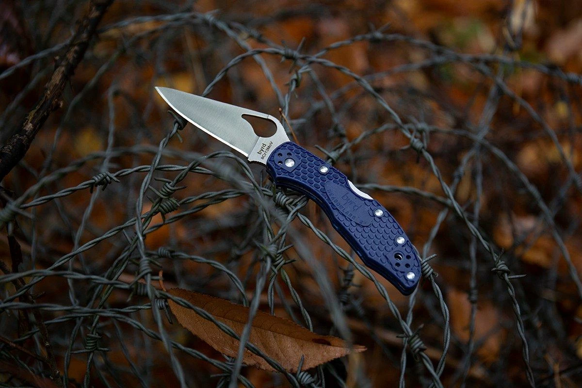 Spyderco Byrd Meadowlark 2 Azul BY04PBL2 Navaja 11 Spyderco Byrd Meadowlark 2 Azul BY04PBL2 Navaja - Imagen 9