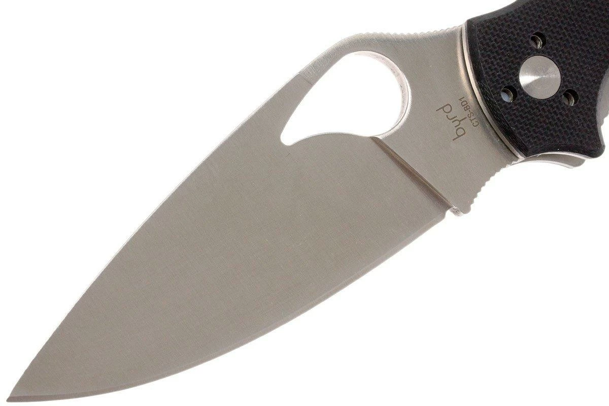 Spyderco Byrd Raven 2 G-10 Plain Edge 5 Spyderco Byrd Raven 2 G-10 Plain Edge - Imagen 3