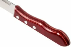 Tramontina Churrasco 6-unidades Juego De Cuchillos Para Carne Jumbo, 29899-164 -KNIVESANDTOOLS Ventas TC29899 164 04 tramontina churasso tc29899 164 04