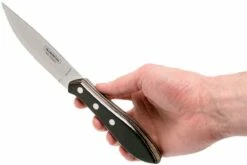 Tramontina Churrasco Jumbo 8-unidades Juego De Cubiertos Para Carne, 29899-263 -KNIVESANDTOOLS Ventas TC29899 263 04 tramontina churasso tc29899 263 04