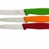 Victorinox SwissClassic Cuchillo De Verduras, Set De 3, 6.7116.32 2 Victorinox SwissClassic Cuchillo De Verduras, Set De 3, 6.7116.32 -KNIVESANDTOOLS Ventas VT6 7116 32 01 victorinox vt6 7116 32 01