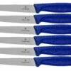 Victorinox SwissClassic 6.7232.6, Juego De Cuchillos Para Carne De 6 Piezas, Azul -KNIVESANDTOOLS Ventas VT6 7232 6 01 victorinox