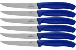 Victorinox SwissClassic 6.7232.6, Juego De Cuchillos Para Carne De 6 Piezas, Azul