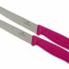 Victorinox SwissClassic Cuchillo Para Carne/-pizza Rosa, Set De 2, 6.7936.12L5B -KNIVESANDTOOLS Ventas VT6 7936 12L5B 01 victorinox steakmes roze vt vt6 7936 12l5b 01