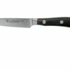 Wüsthof Ikon Cuchillo Puntilla 9 Cm, 1010530409 1 Wüsthof Ikon Cuchillo Puntilla 9 Cm, 1010530409 -KNIVESANDTOOLS Ventas WU1010530409 01 wusthof ikon v202010
