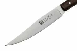 Zwilling Steak 39161, Juego De 4 Cuchillos Para Carne, Palisandro 9 Zwilling Steak 39161, Juego De 4 Cuchillos Para Carne, Palisandro -KNIVESANDTOOLS Ventas ZW1003040 03 zwilling
