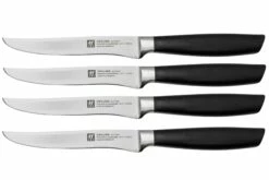 Zwilling All Star 1022591, Juego De 4 Cuchillos Para Carne, Plata