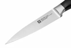 Zwilling All Star 1022777, Juego 2 De Cuchillos, Cuchillo De Chef Y Cuchillo Puntilla, Negro -KNIVESANDTOOLS Ventas ZW1022777 03 zwilling