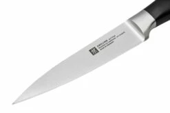 Zwilling All Star 1022778, Juego De 2 Cuchillos, Cuchillo De Chef Y Cuchillo Puntilla, Plata -KNIVESANDTOOLS Ventas ZW1022778 03 zwilling