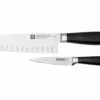 Zwilling All Star 1022780, Juego De 2 Cuchillos, Santoku Y Puntilla, Plata 1 Zwilling All Star 1022780, Juego De 2 Cuchillos, Santoku Y Puntilla, Plata -KNIVESANDTOOLS Ventas ZW1022780 01 zwilling