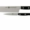 Zwilling Gourmet Juego De Cuchillos 2-unidades, 36130-002 -KNIVESANDTOOLS Ventas ZW36130 002 0 01 zwilling gourmet zw36130 002 0 01